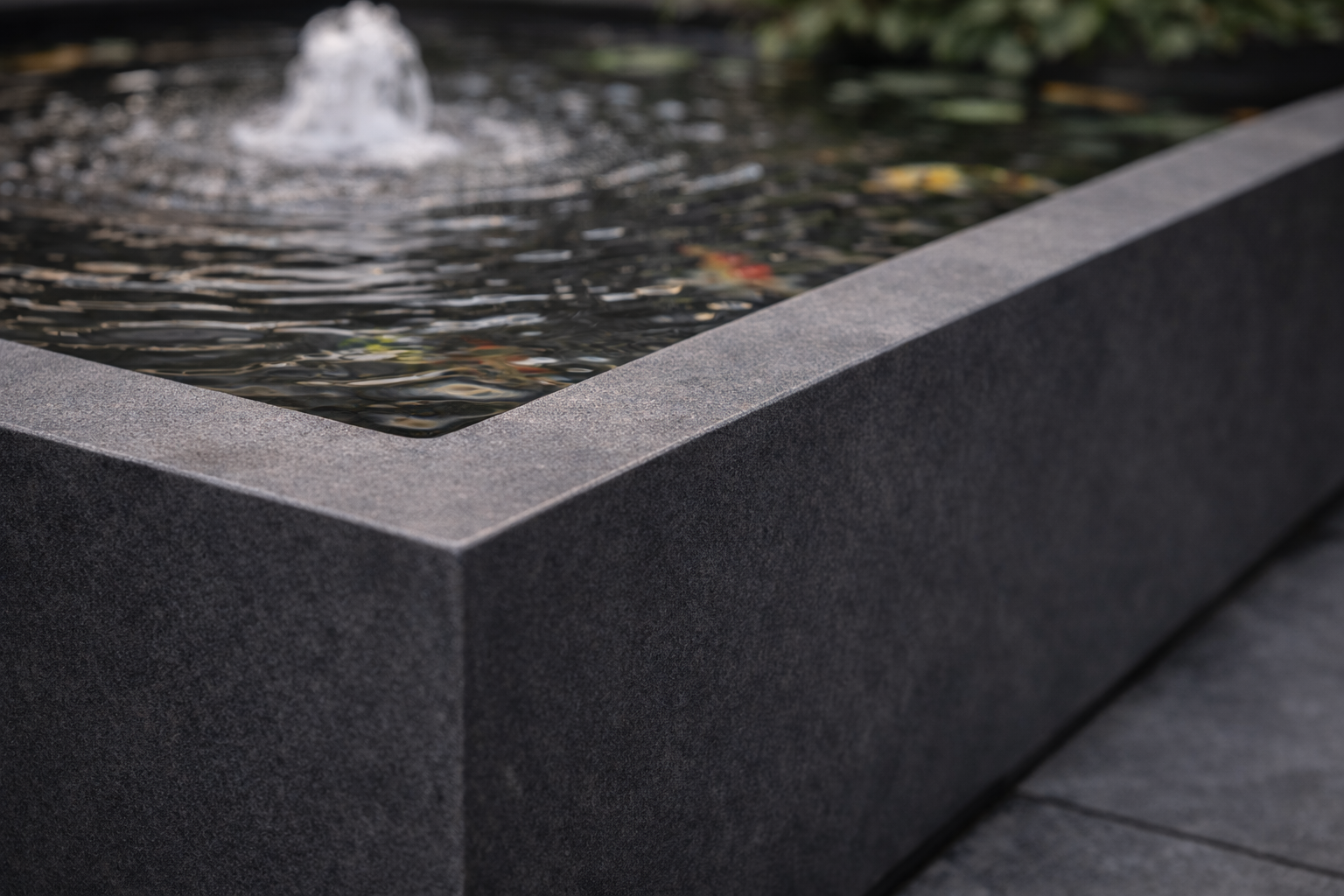 Close-up of submerged aquatic plants and clear water inside a PLINTH raised pond